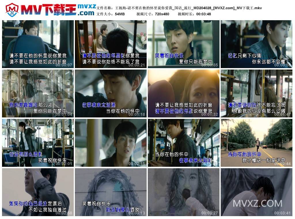 王祝海-请不要在他的怀里说你爱我_国语_流行_MD204028